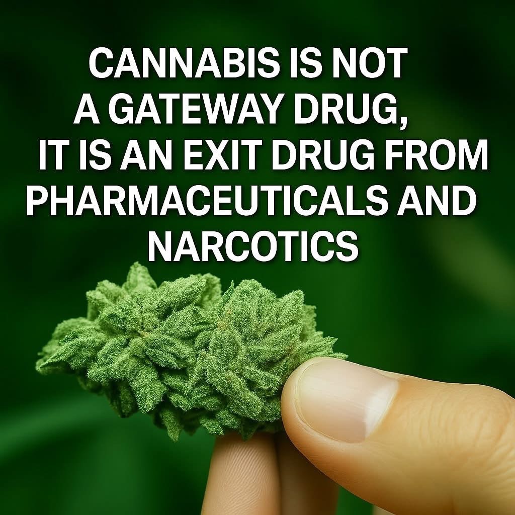 STONERS R US 🍃 tweet media