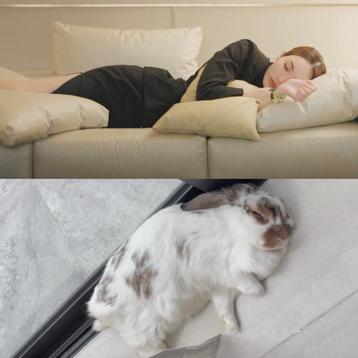 เพนกวิน🤍🐰 tweet media