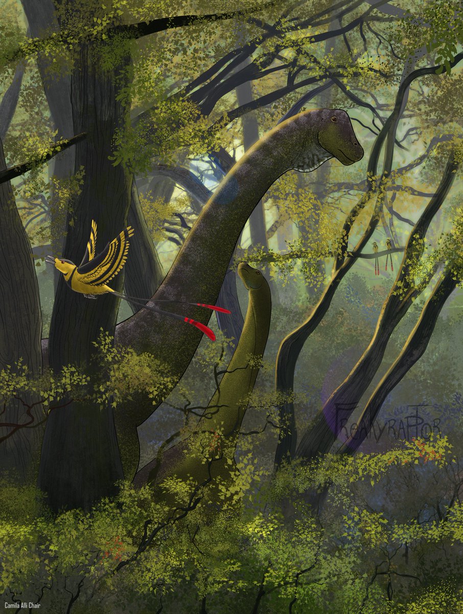 Freakyraptor tweet media