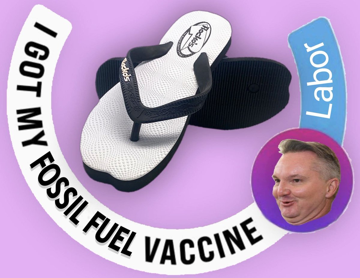 Ferguson Alexander tweet media