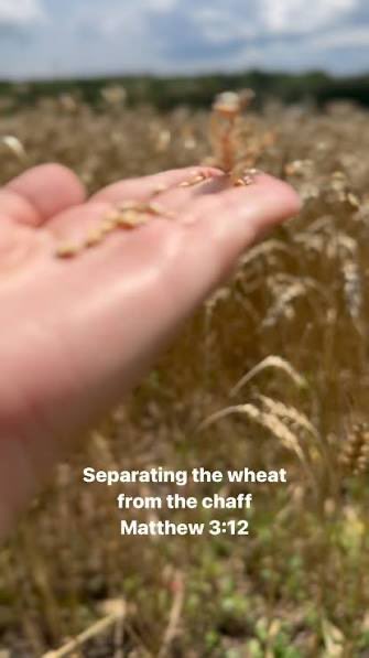 Boone Cutler 🦬🇺🇸 🦅 tweet media