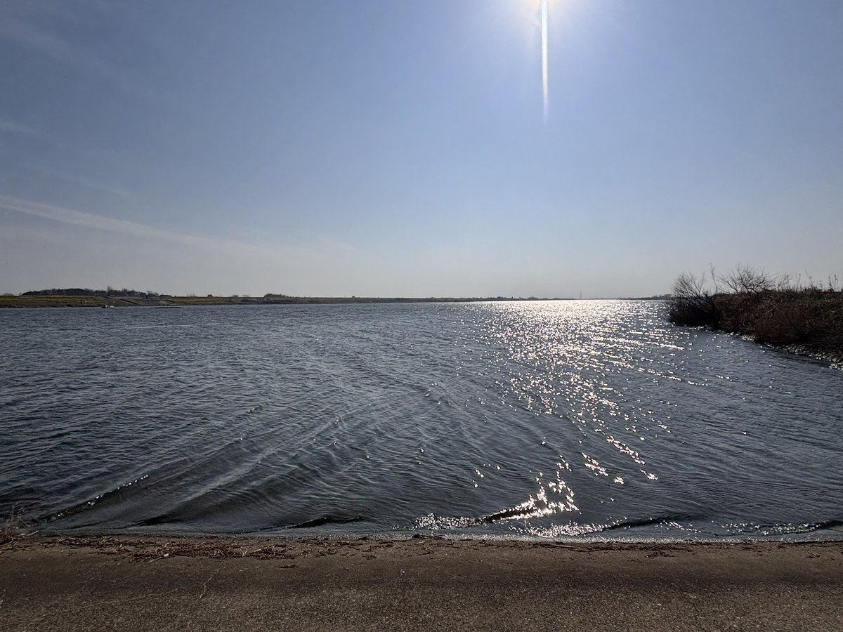 さいたぁマンワールド【公式】 tweet media