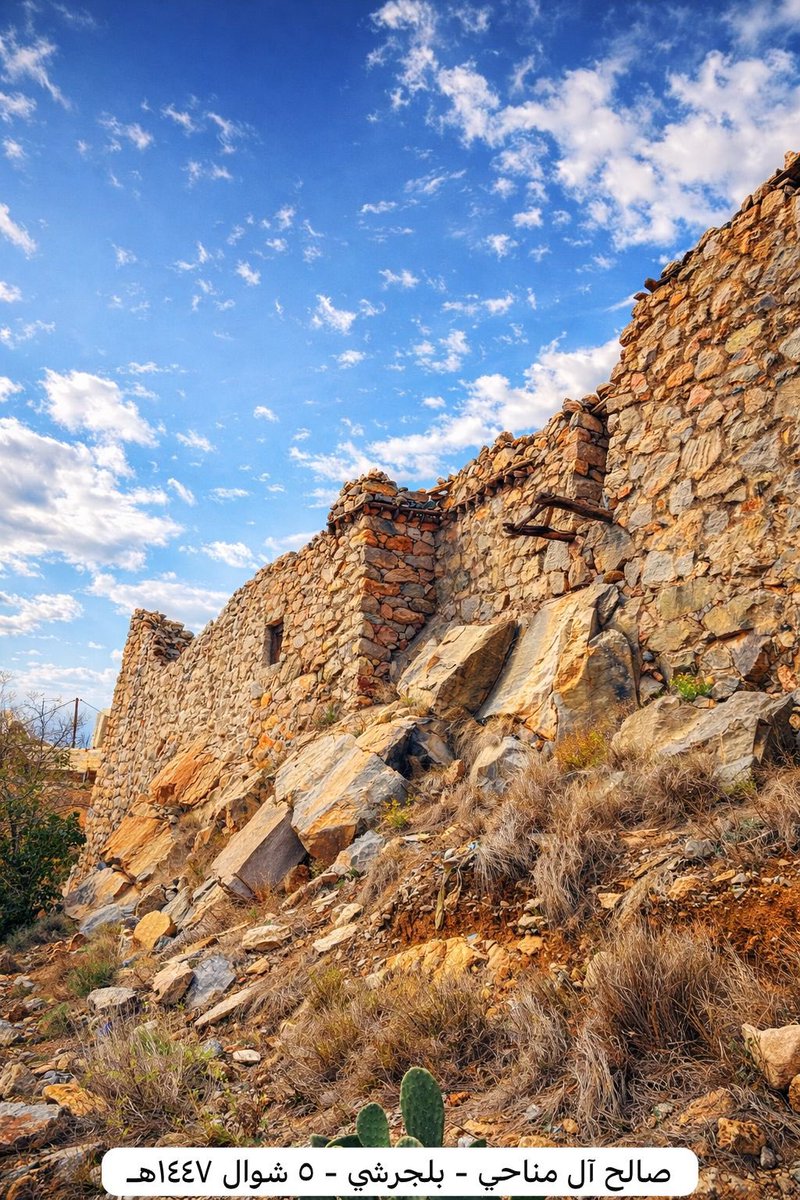 Saleh Al-Manahi tweet media