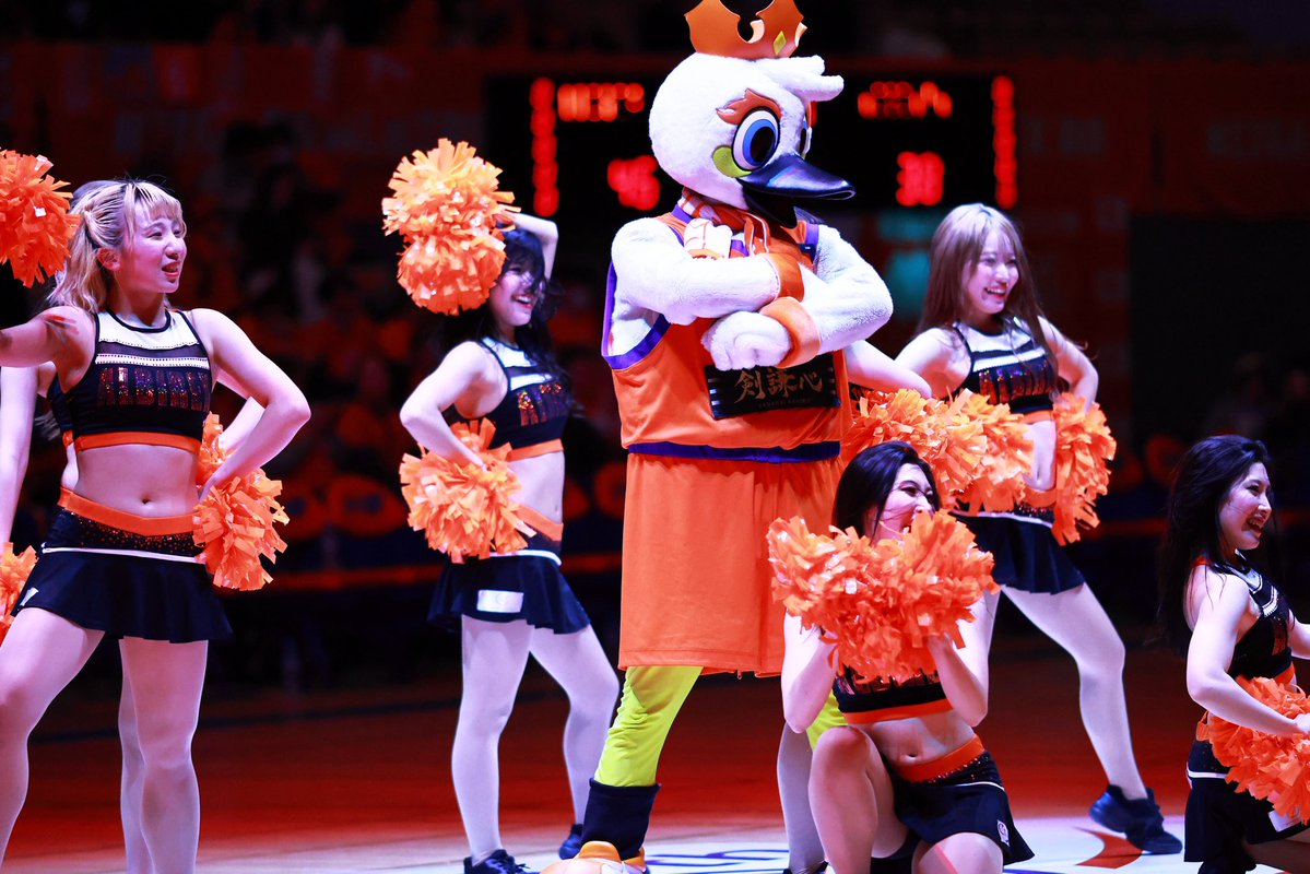 一匹猫 📸 tweet media