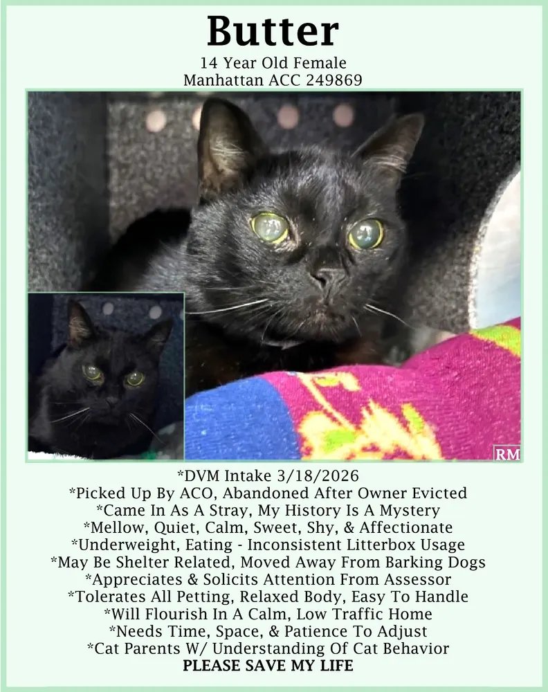 Candi Ausman tweet media