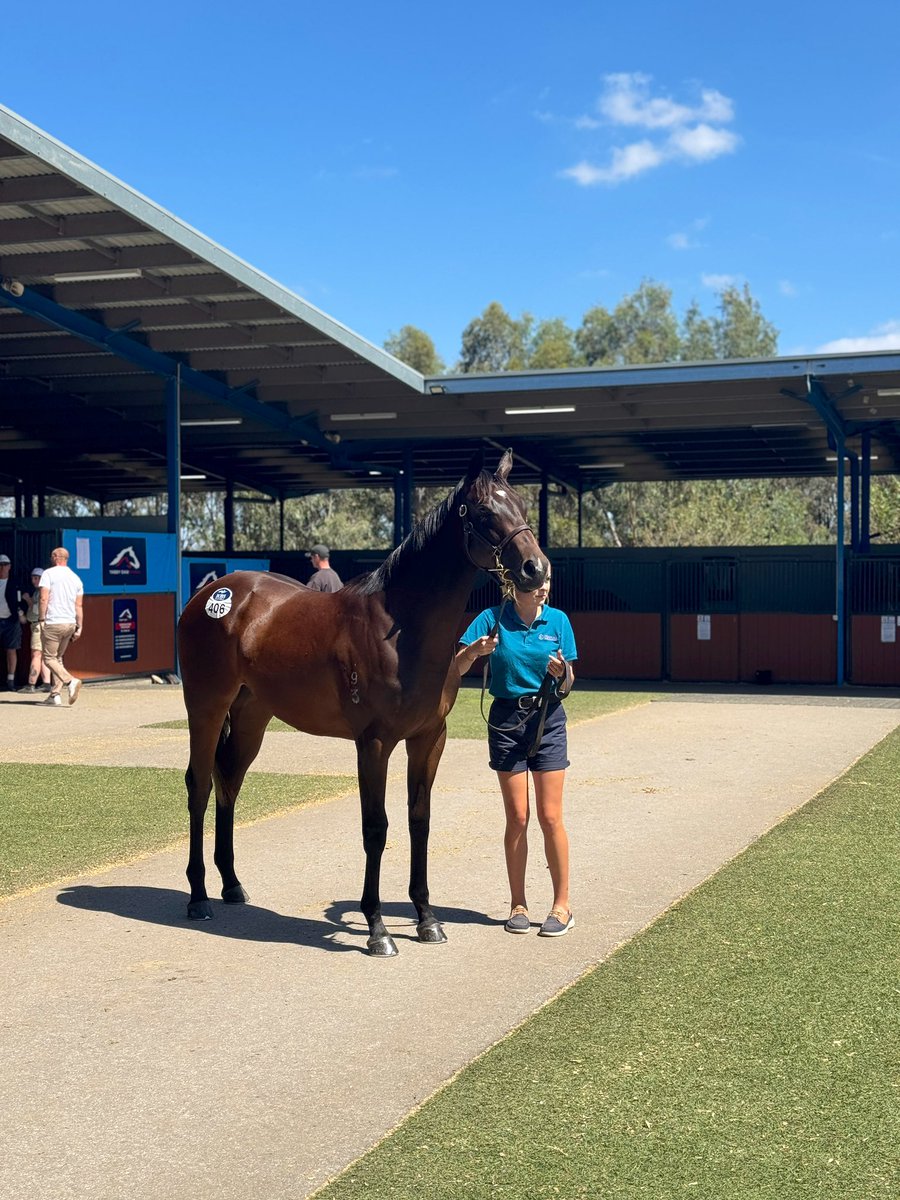カイオウの一口馬主🐴 tweet media