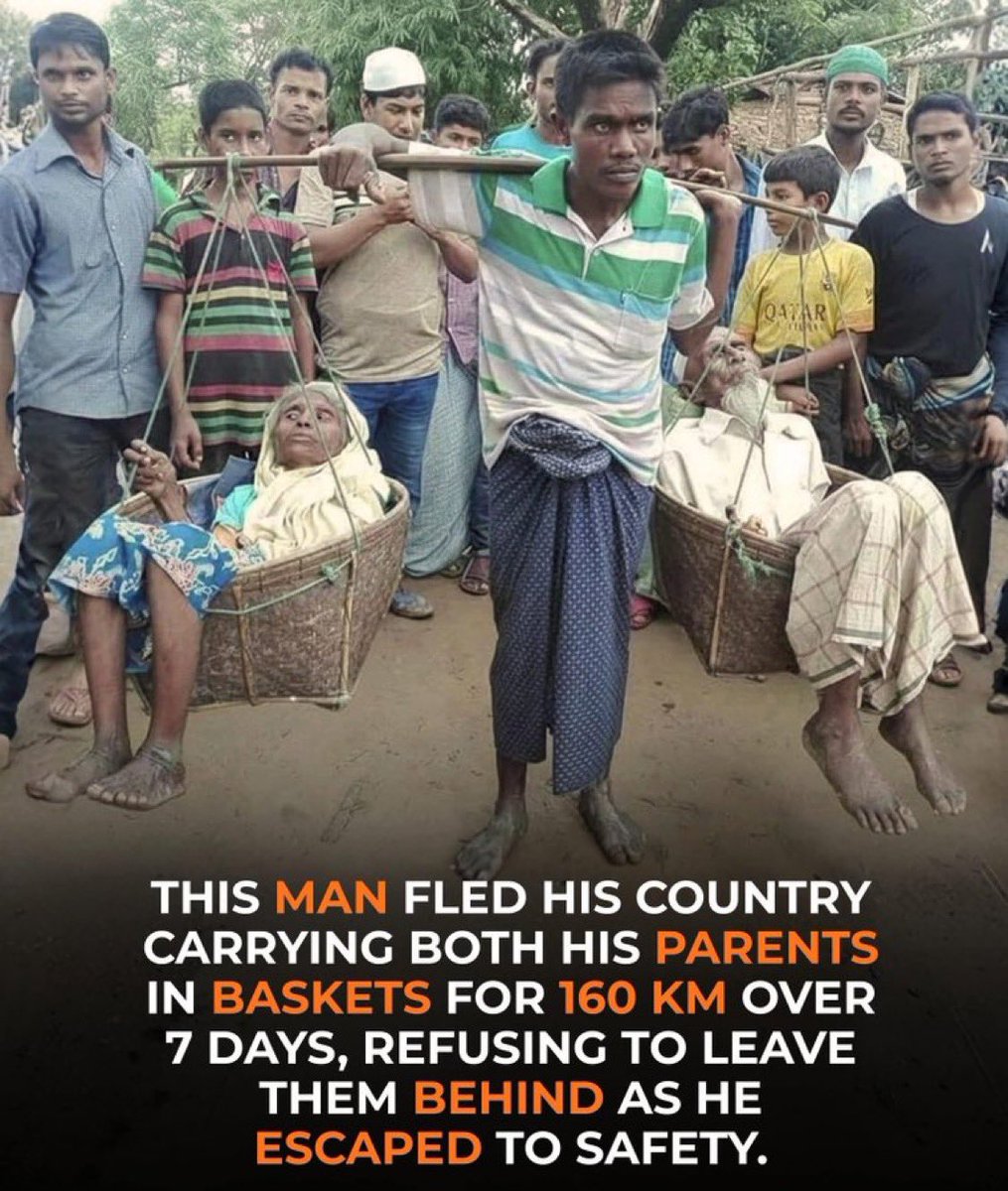 Mr PitBull tweet media