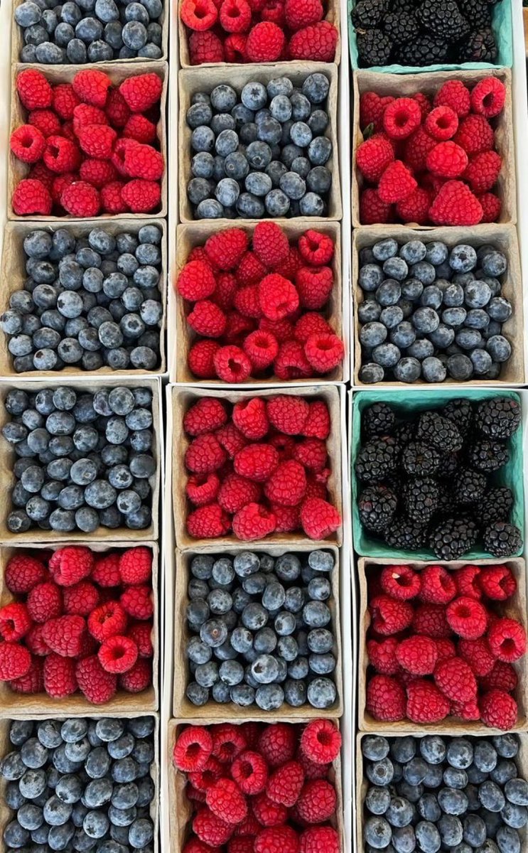 بيكاسو tweet media