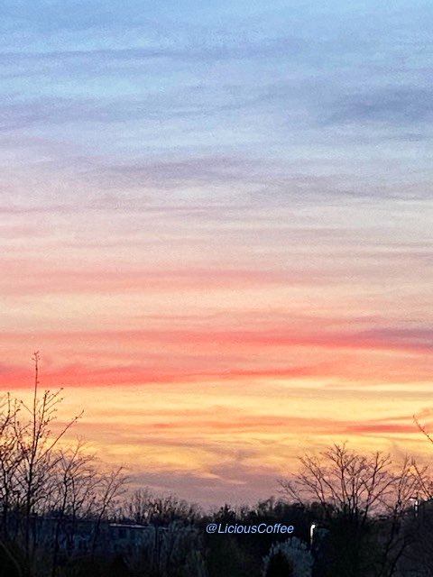 CoffeeLiciousLady tweet media