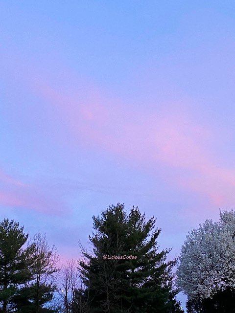 CoffeeLiciousLady tweet media