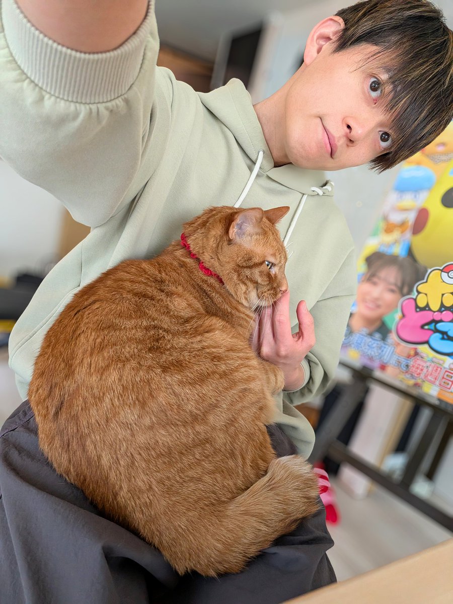 松丸 亮吾 🍥 tweet media