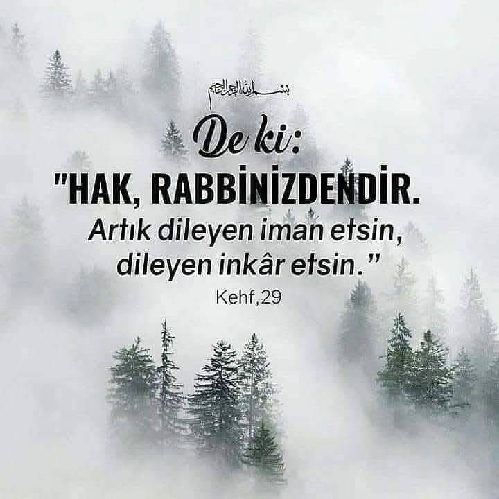 tanikeminedeniz's tweet photo. https://t.co/Fg2GknY51z