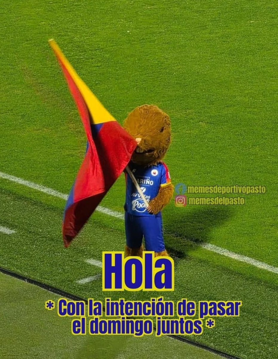 Paola Rivadeneira 🐝 tweet media