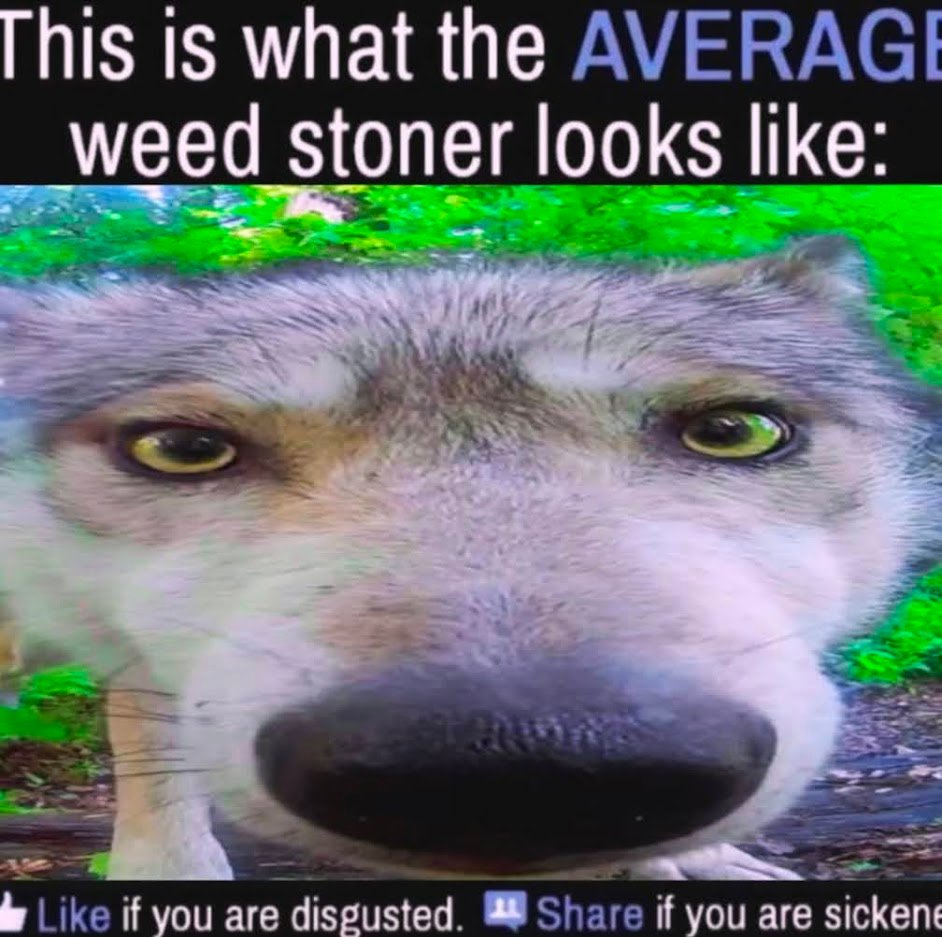 [archer] tweet media