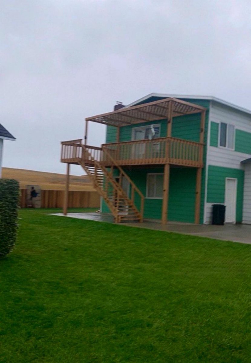 بيكاسو tweet media