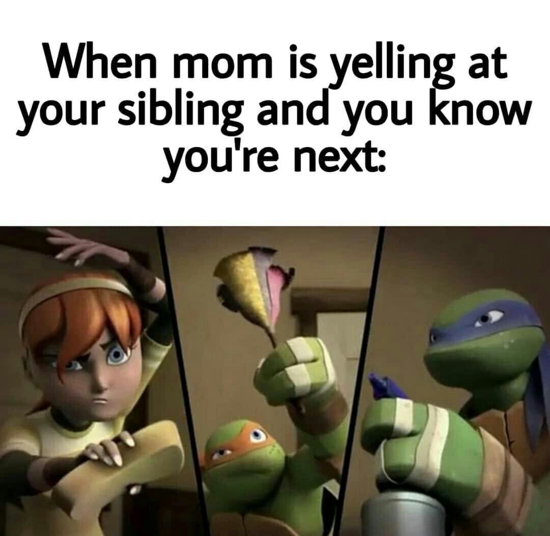 No context TMNT tweet media