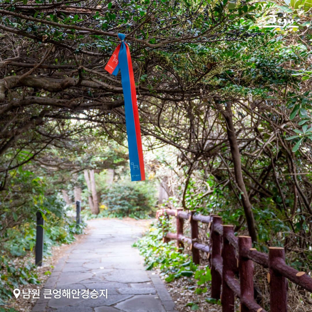 제주도 tweet media