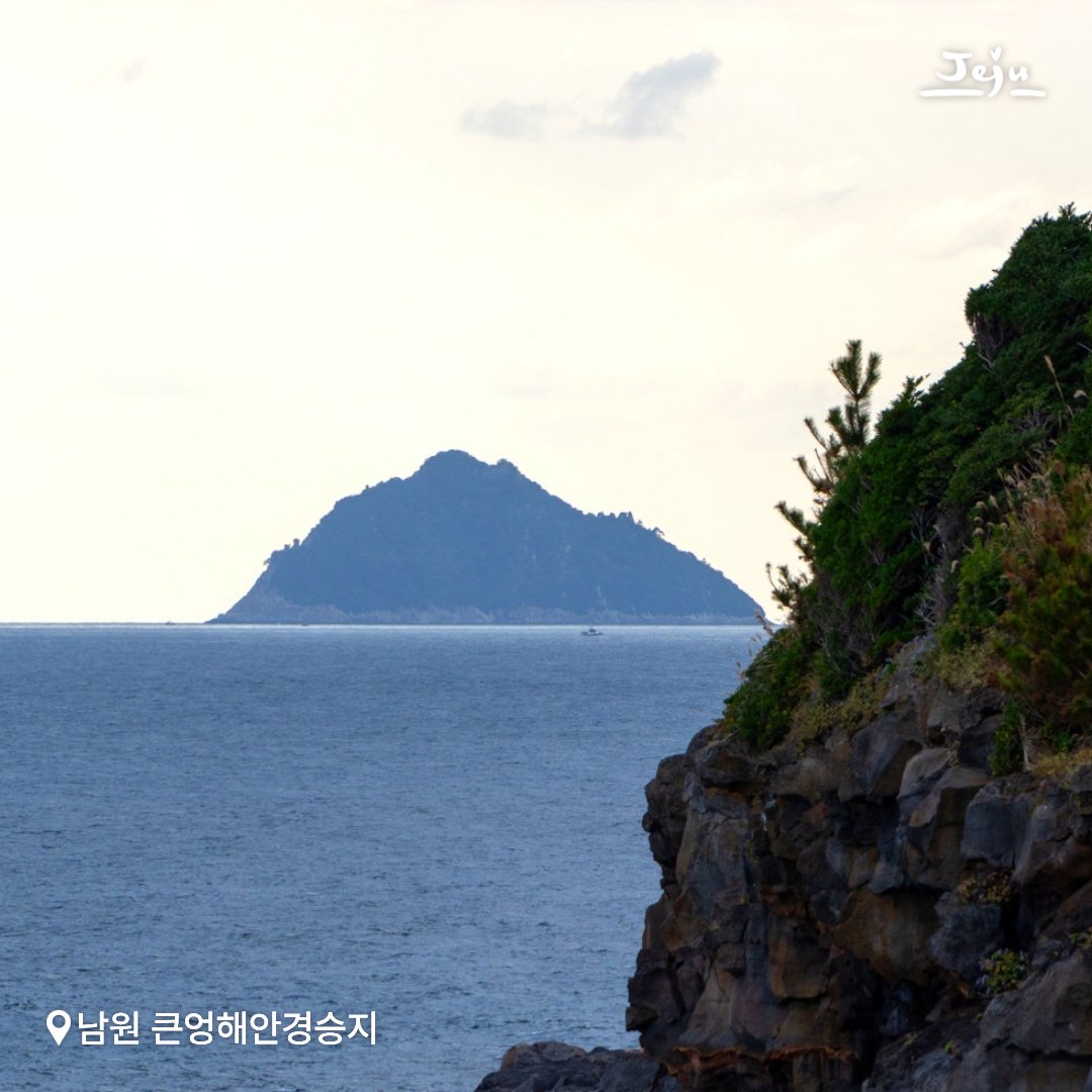 제주도 tweet media