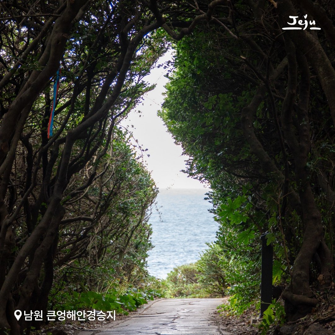 제주도 tweet media