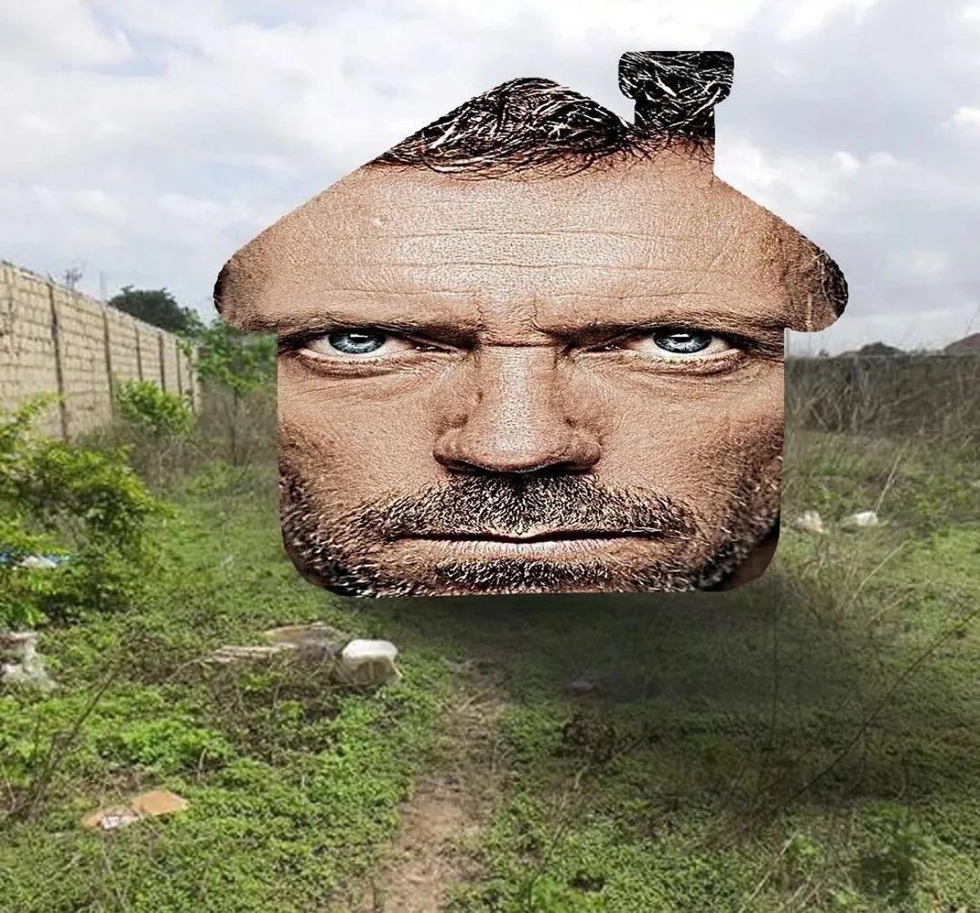 Iris<(´⌯ ̫⌯`)> 🇸🇱 tweet media