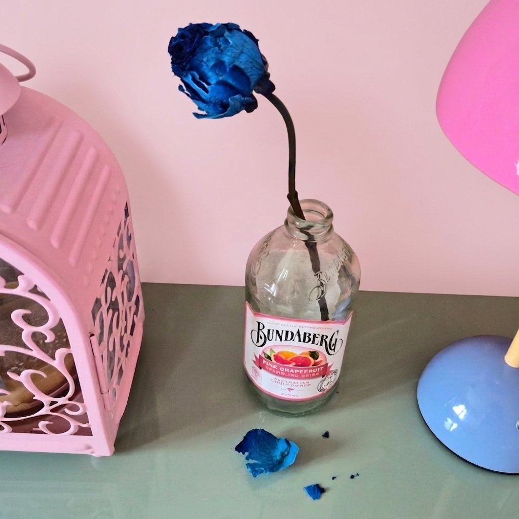 오랜만에 평일휴무다아아앗~!🤍
아쥬그냥 세상바빴네...
고양이 나랑 눈마주쳤는데 
쫌 계면쩍은 눈빛이길래 가봤더니
말려둔 파란장미를...
작년 주와니데카껀데..ㅜㅜ