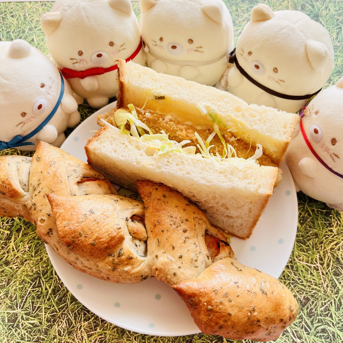 ねこた🐟🐱🍙 tweet media