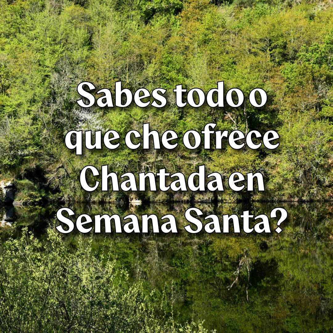 Chantada Concello tweet media