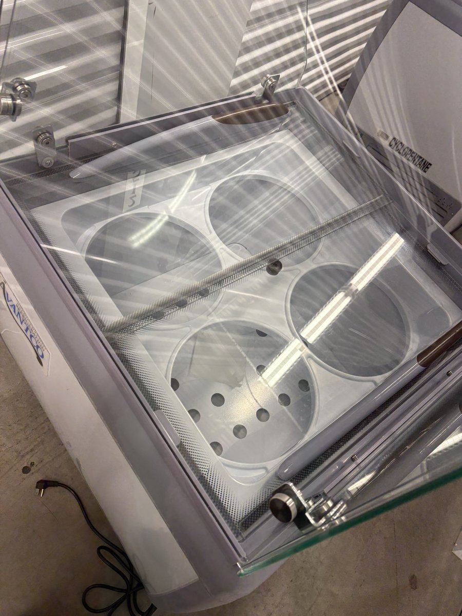 Taco🌮 tweet media