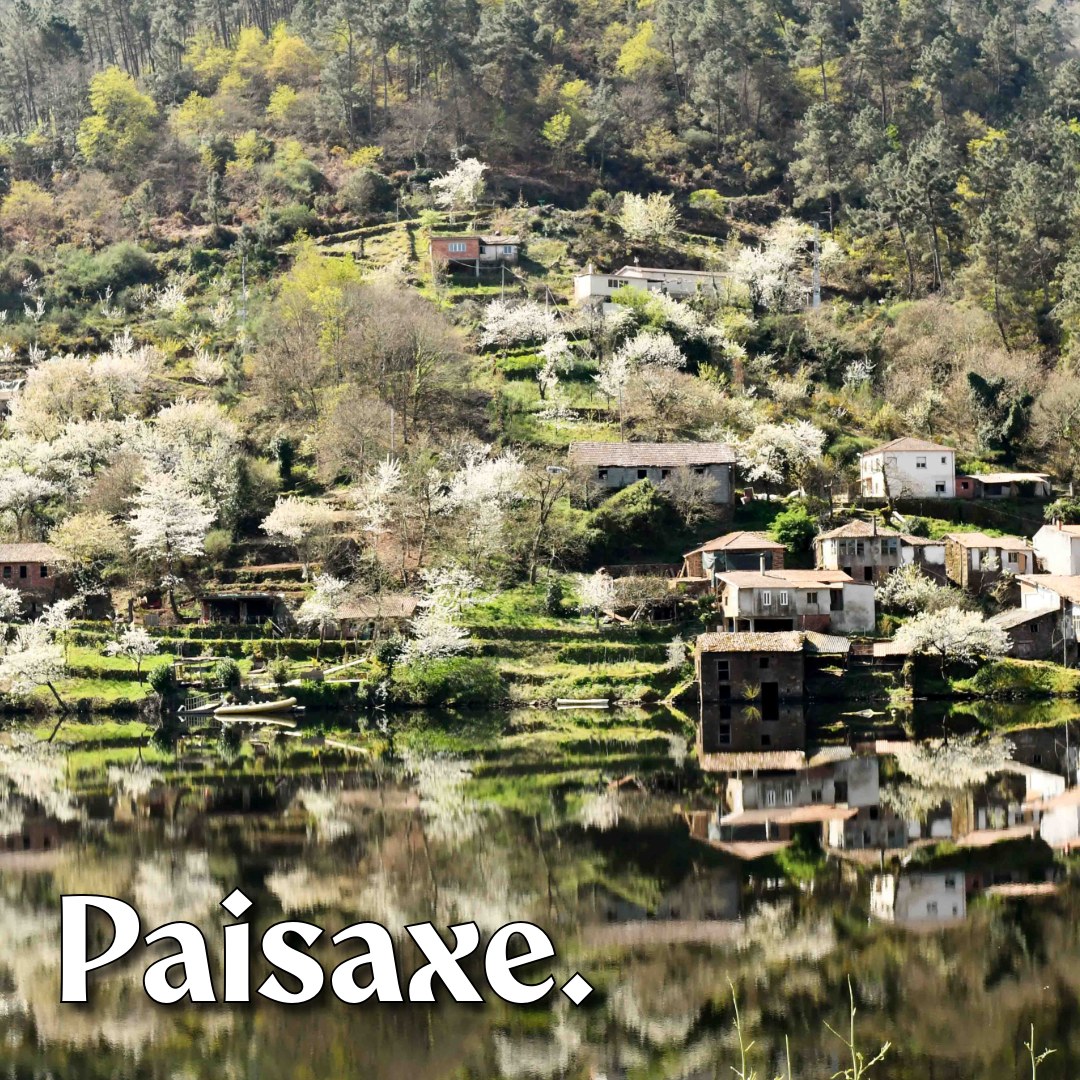 Chantada Concello tweet media