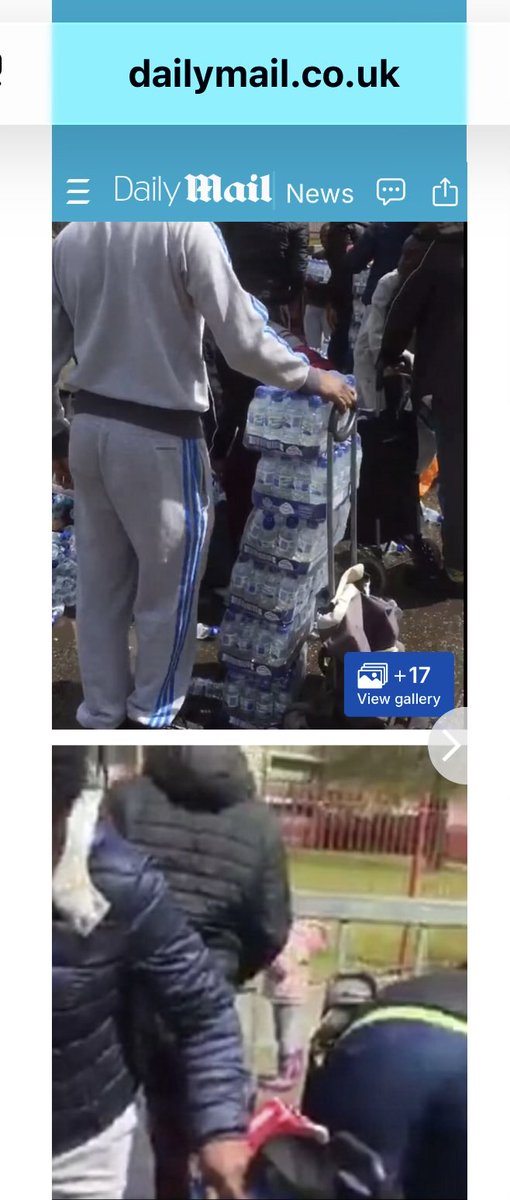 🇺🇸Deplorable Me🇺🇸 tweet media