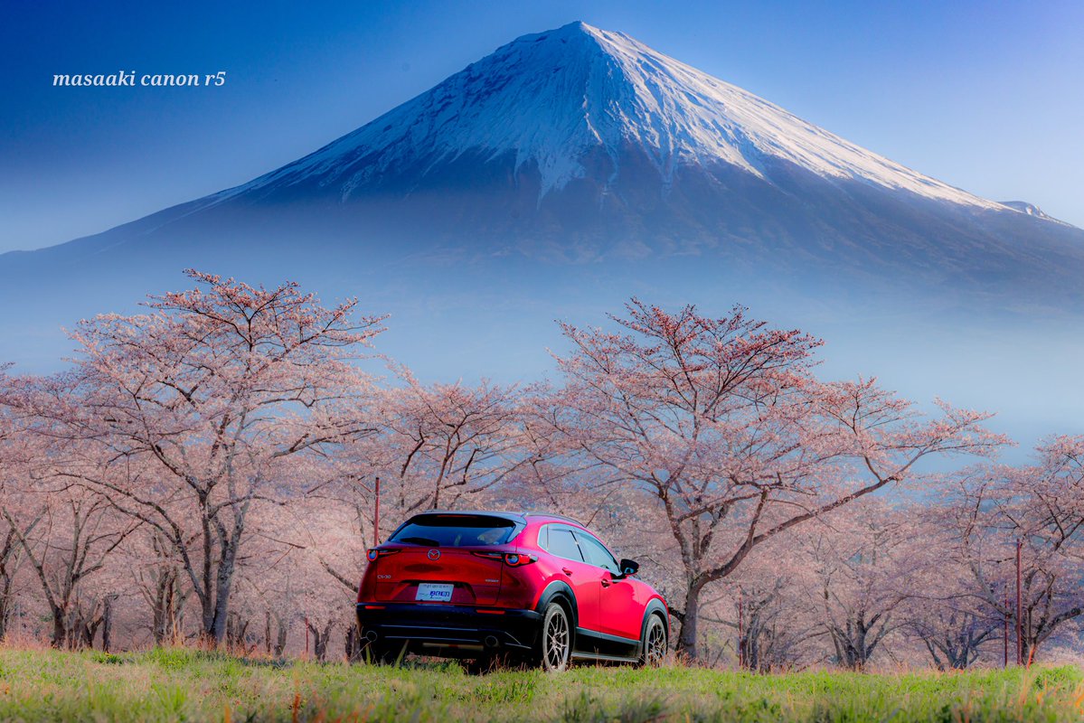 まさあき tweet media