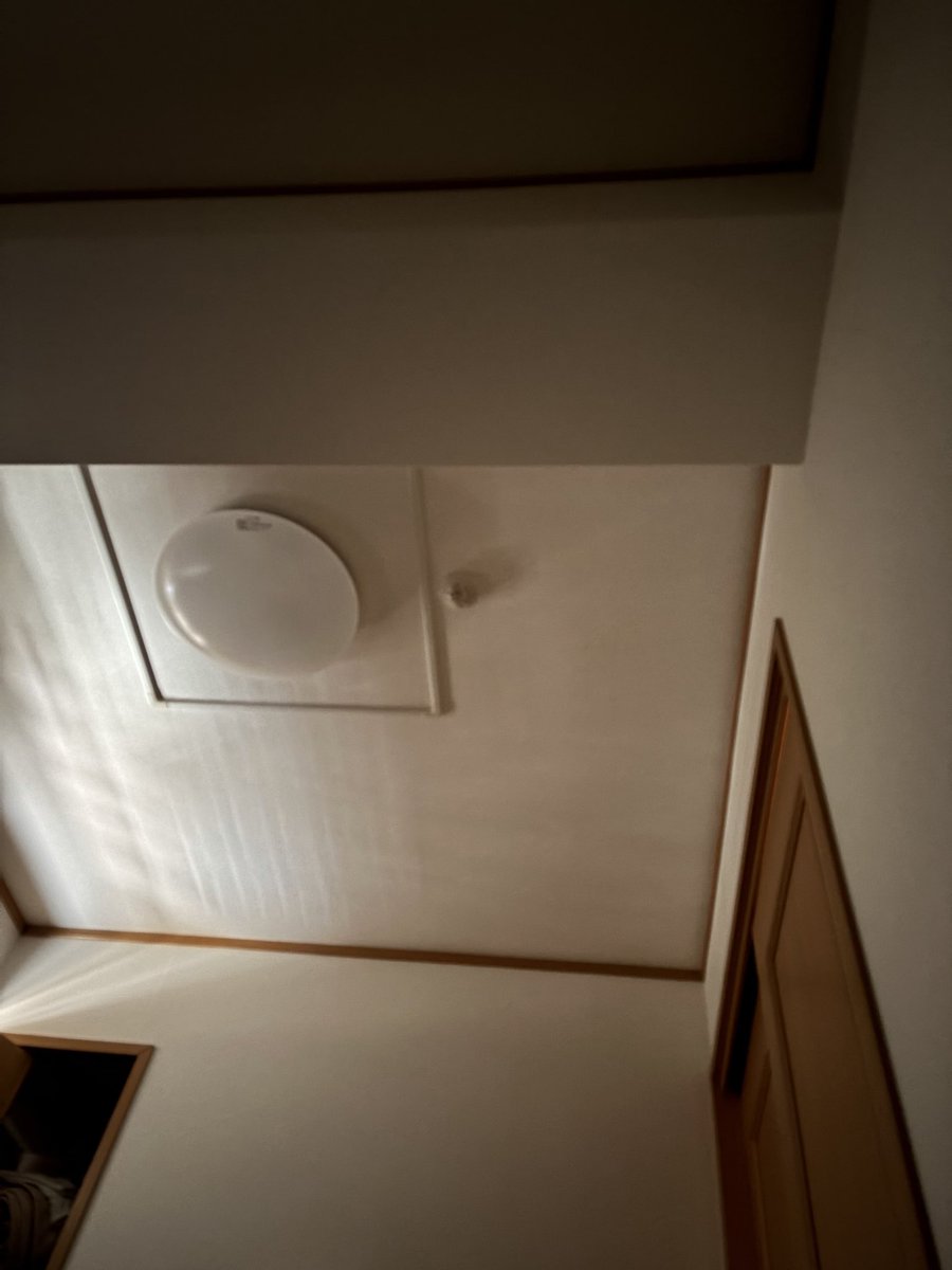 らふとねちゅ tweet media