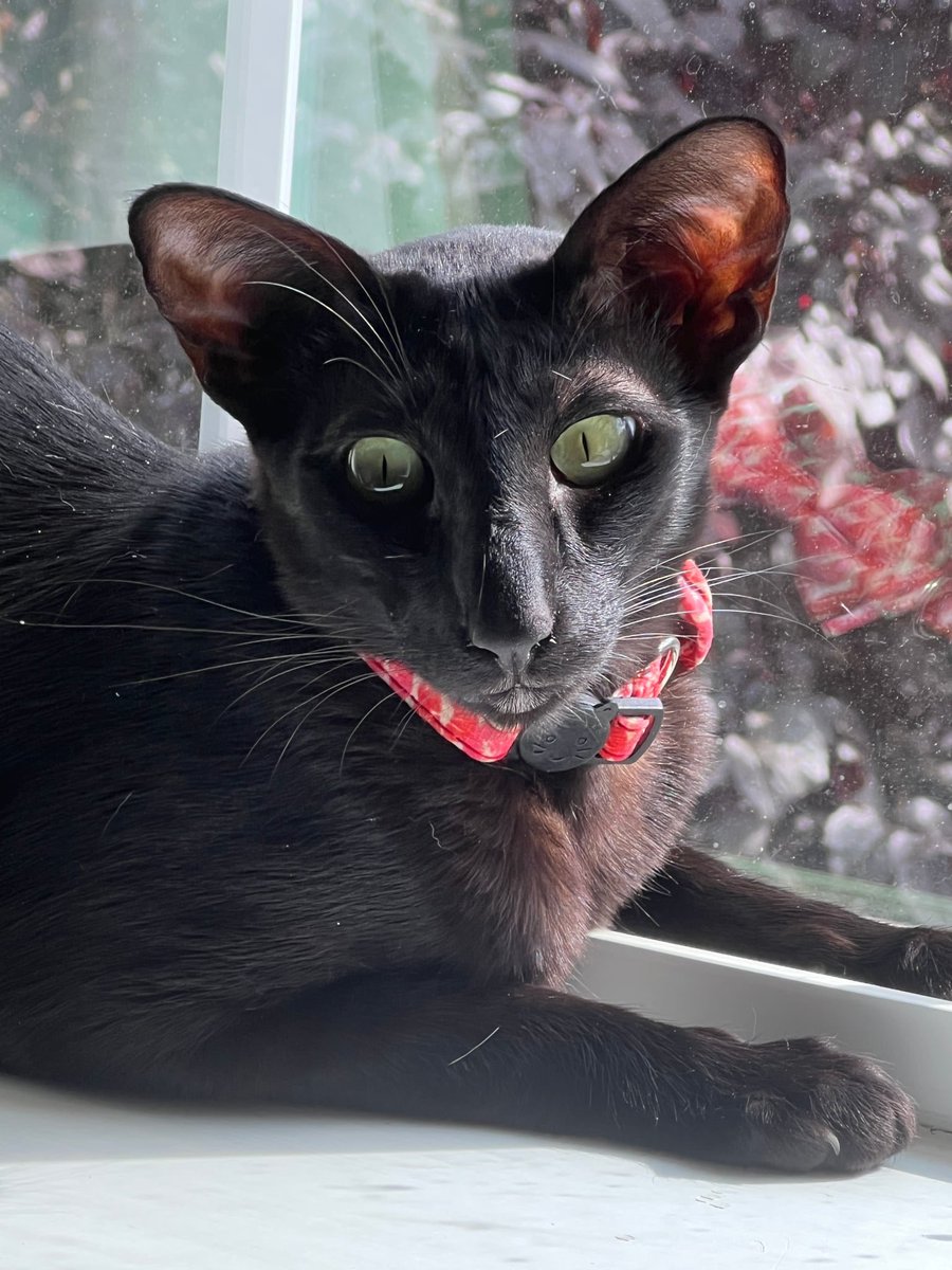 @SuzStephens 🇺🇦🌻 ☮️ tweet media