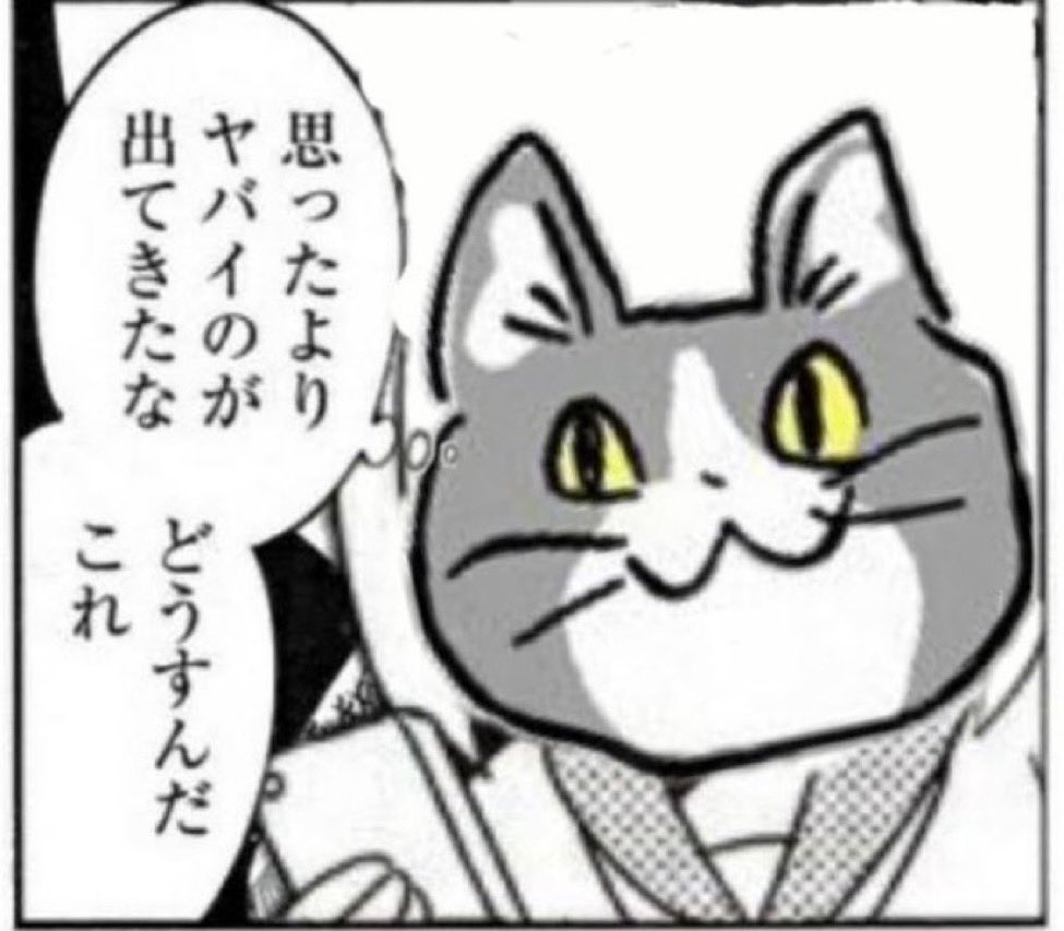 酒池肉民 tweet media