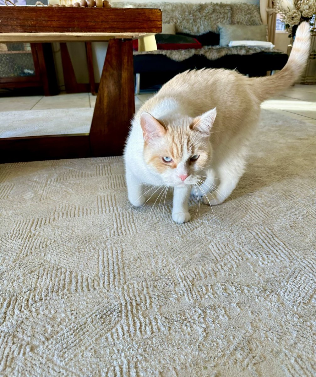 Munther Alaskry tweet media