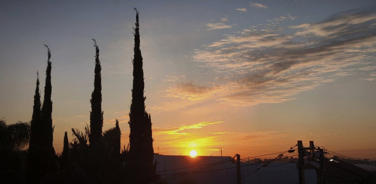 דבורה💚🌳💛🇮🇱 tweet media