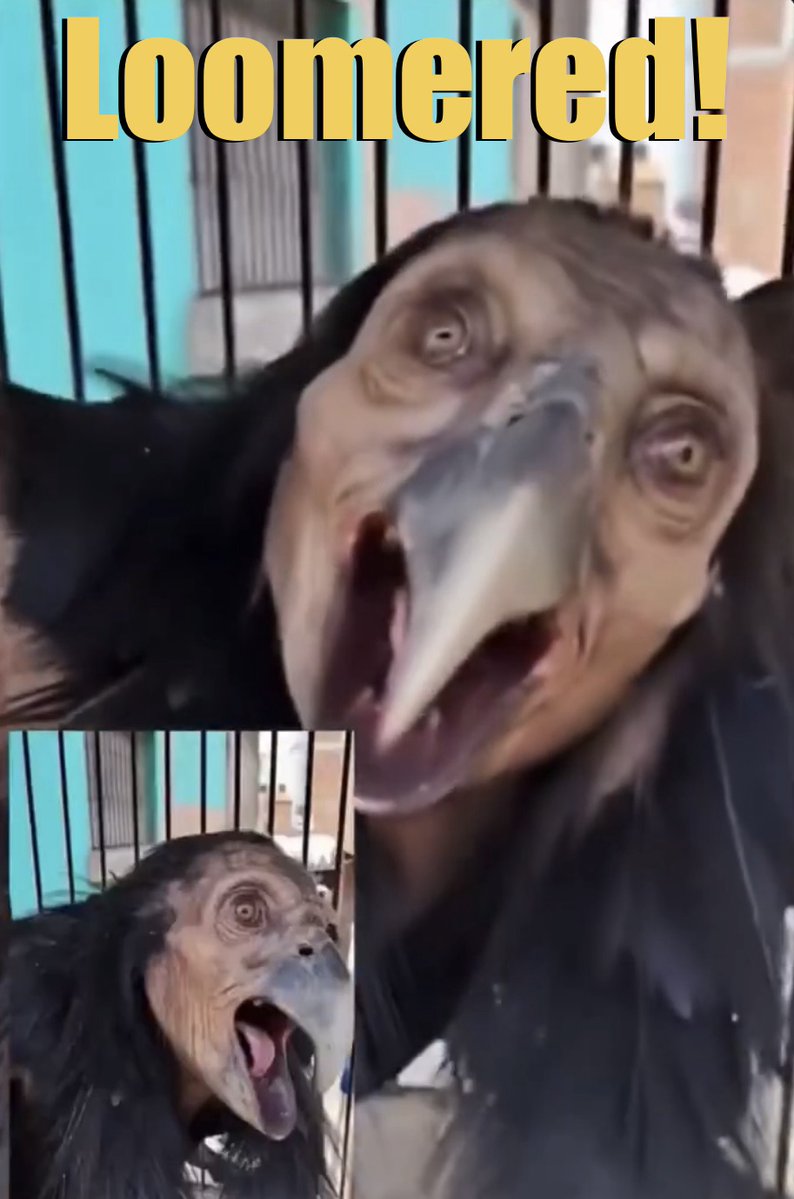 Based New Globe tweet media