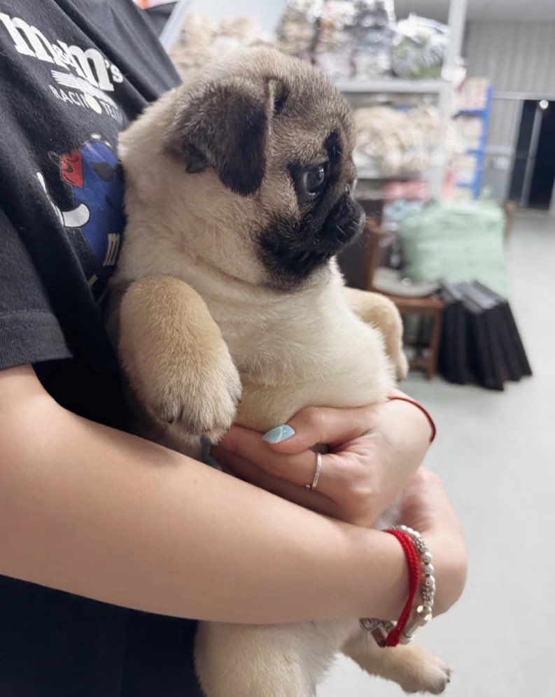 RAPHA 𐚁🧙♀️ tweet media