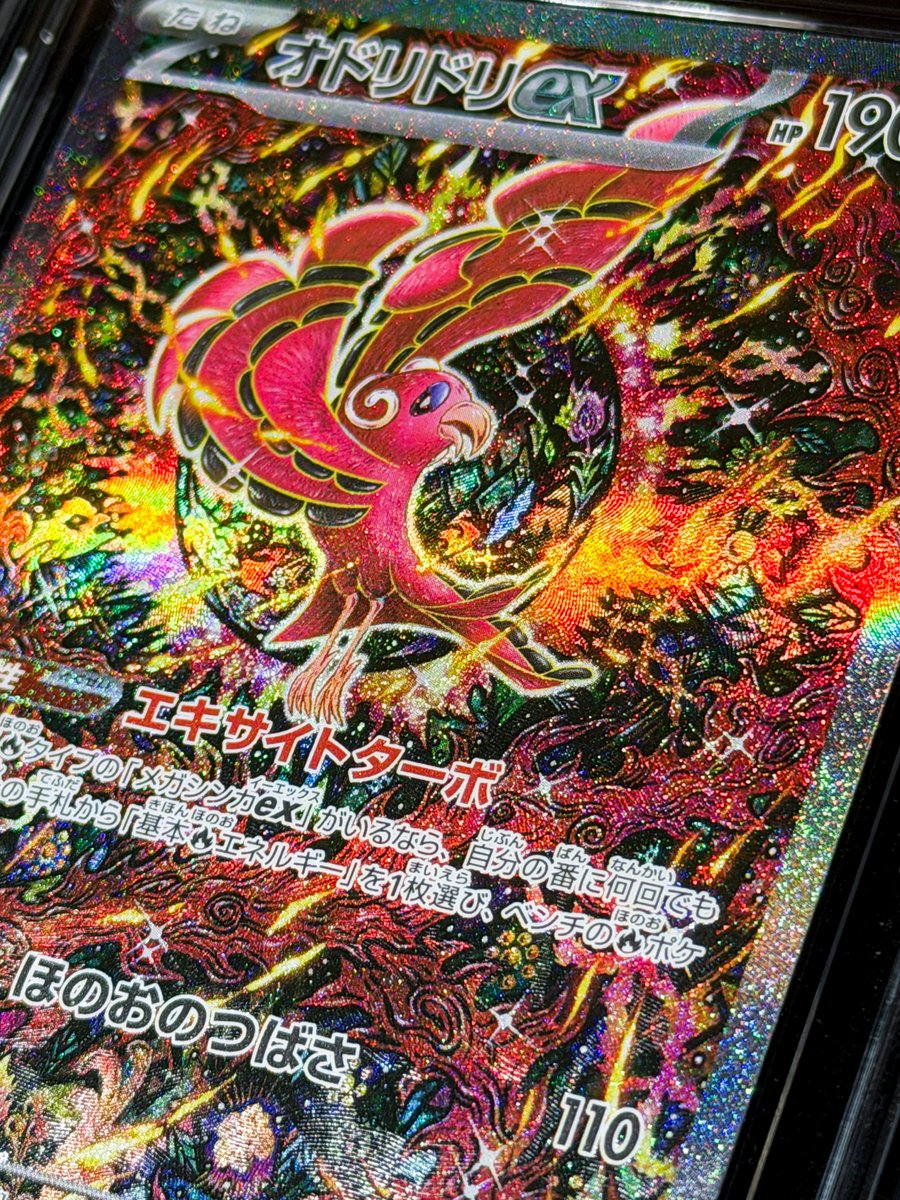 ThePokéChans tweet media