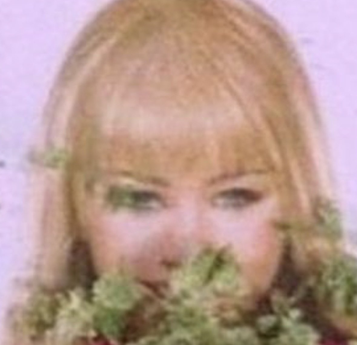 mr. pop it tweet media