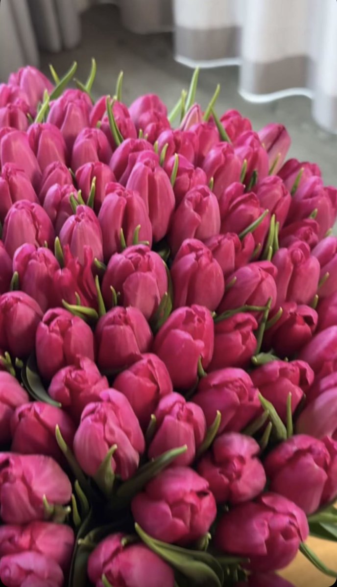 ᷂الرواسـن 💛 tweet media