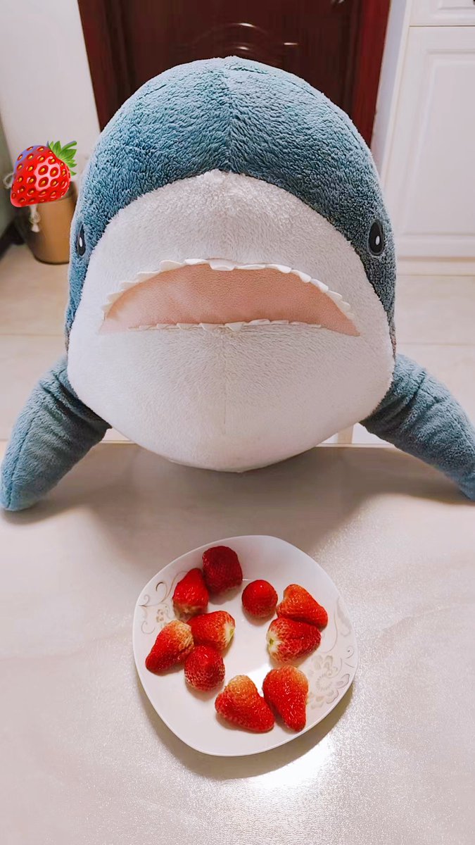 サメのメシ tweet media