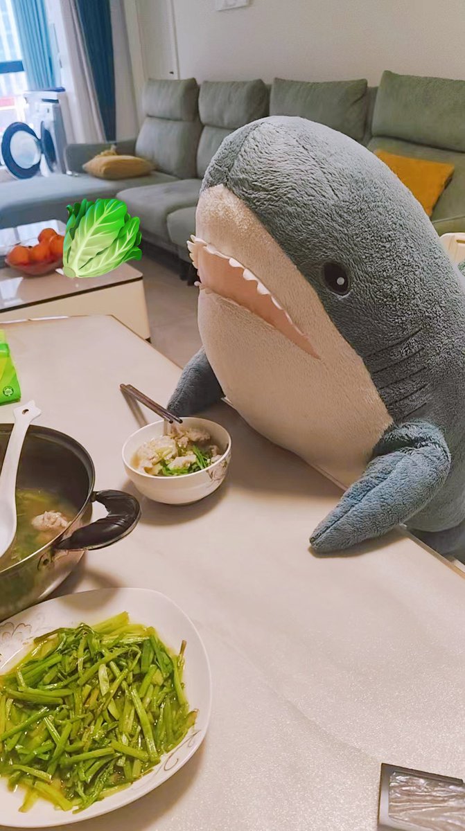 サメのメシ tweet media