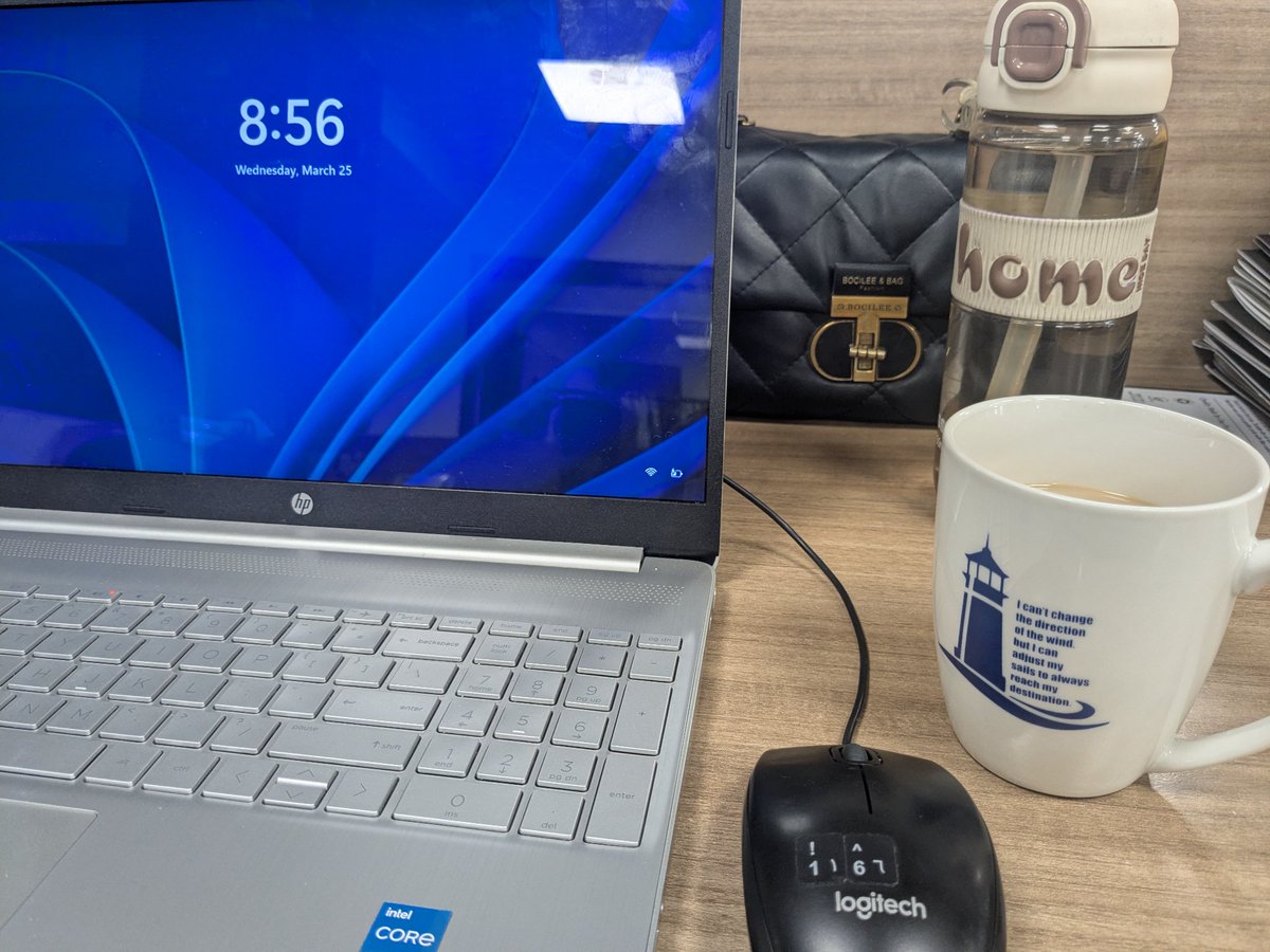 softlyshattered tweet media