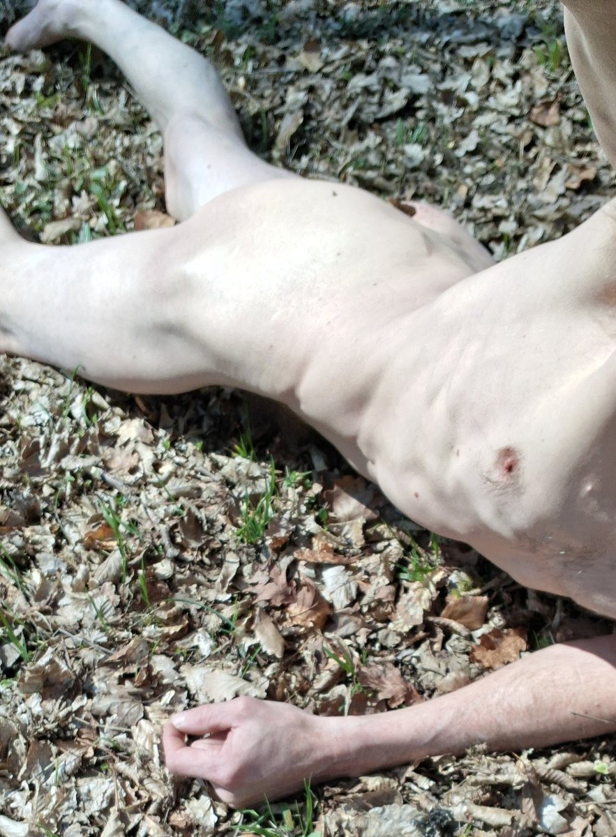 natur_pur 🇩🇪 tweet media