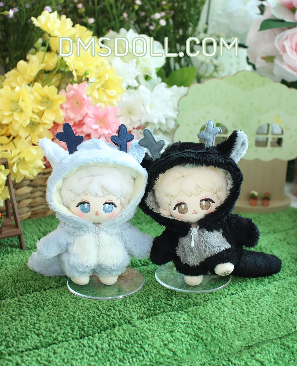 디엠에스솜옷장 tweet media