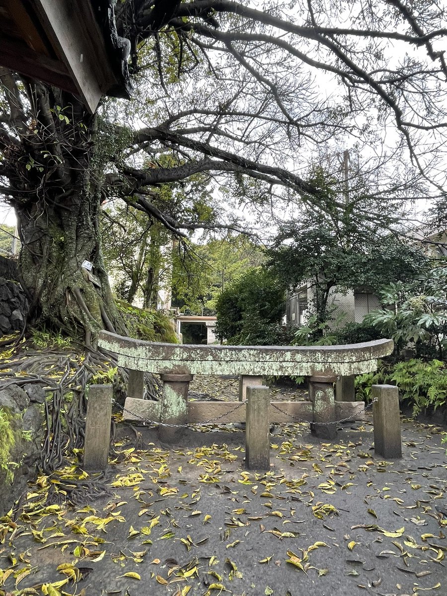 ヒトヒラ@深夜にパン焼くライダー tweet media