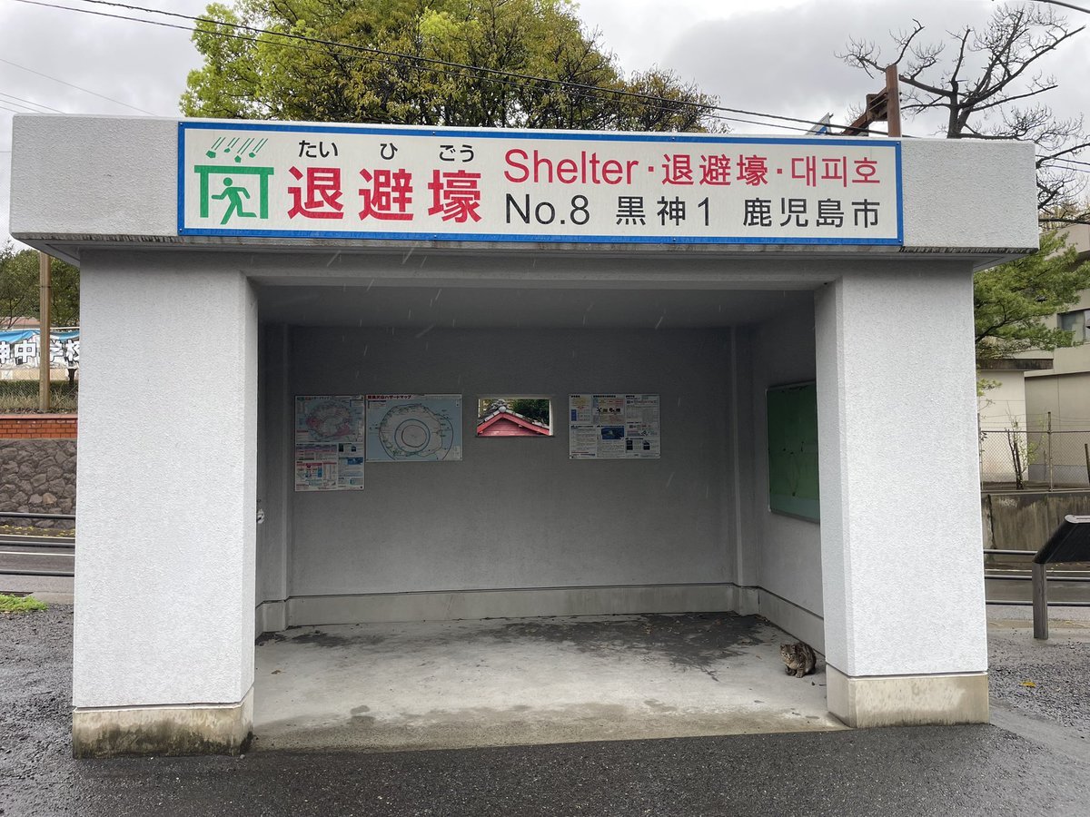 ヒトヒラ@深夜にパン焼くライダー tweet media