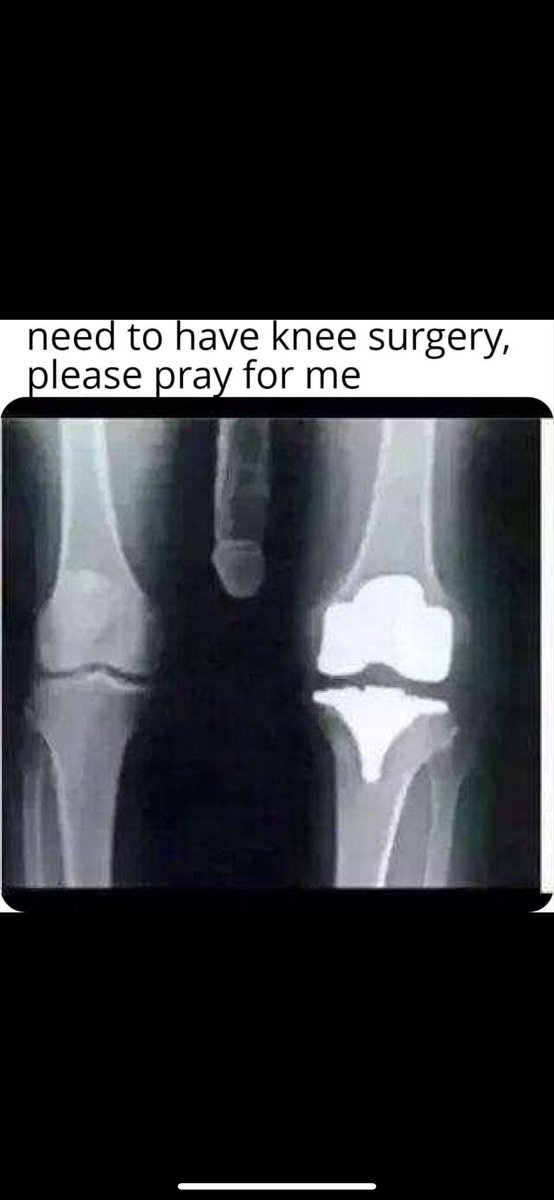 Spicy Dog 3000 🌭 tweet media