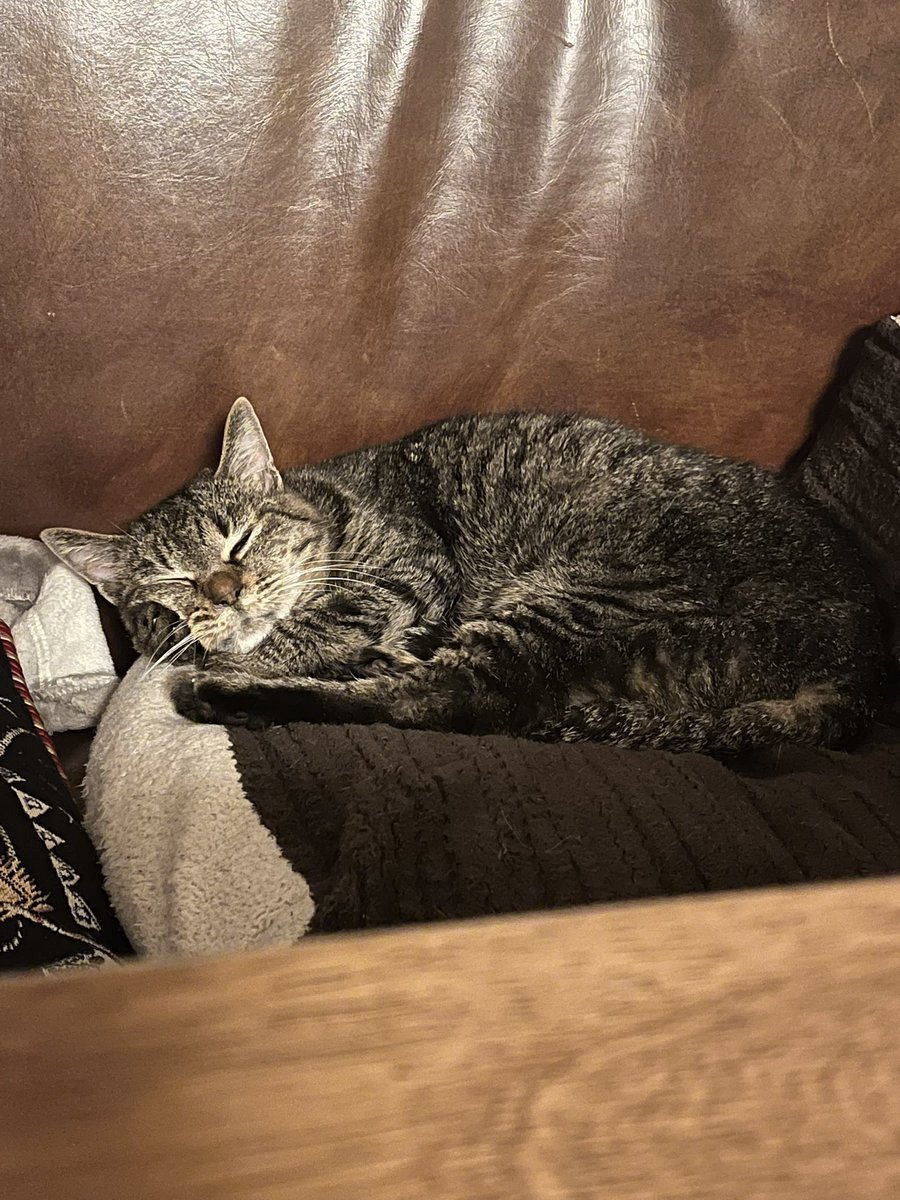 ららときき時々いろは tweet media